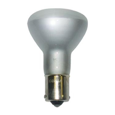 2 pk Incandescent Mini Multi Purpose Light Bulb Clear, 16788
